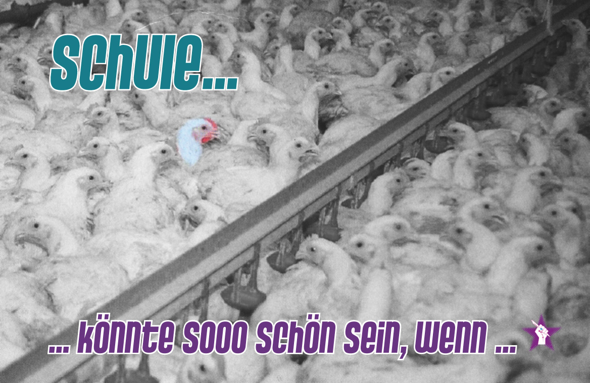 Alle Fotos mit Montage.indd