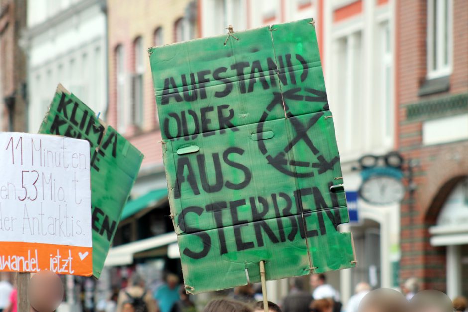 Plakat "Aufstand oder Aussterben" auf der 1. Sommerferiendemo von Fridays for Future in Lüneburg